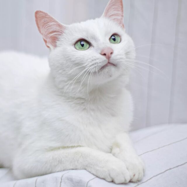 https://mauhotel.ro/wp-content/uploads/2025/11/shutterstock_1769439092-cropped-min-Copy-640x640.jpg